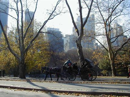 Horse-drawn carriage in Central Park<br>Location: <a href="https://www.google.com/maps/search/?api=1&query=40.76735,-73.97311" target="_new">East Drive, Central Park</a>